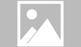 今天东莞新闻爆料视频回放,揭秘今日热点事件背后的真相